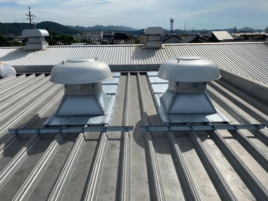 95 x 25-A2 Asse principale Pulley FRP Rooftop Blower per la ventilazione commerciale del tetto
