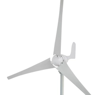 Generatore eolico personalizzato certificato ISO9001 per energia ecologica