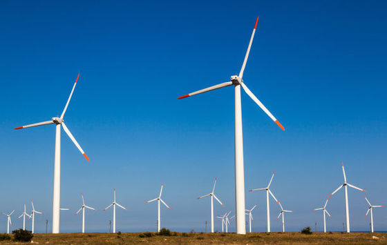 Generatore eolico personalizzato certificato ISO9001 per energia ecologica