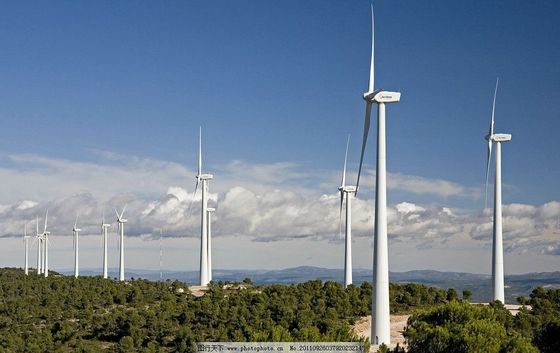 Generatore eolico personalizzato certificato ISO9001 per energia ecologica