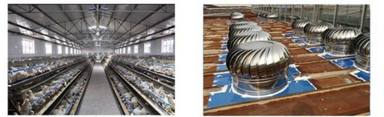 Ventilatore di tetto in acciaio inossidabile personalizzato per ventilazione resistente alle alte temperature