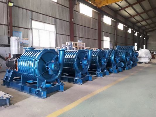 Ventilatore di tetto per il montaggio di radici e soffiatore per alta pressione e grande volume nell'acquacoltura senza equipaggio