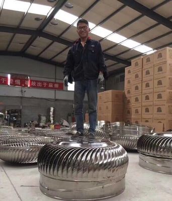 Ventilatore di scarico per turbine a ventilazione a vento del tetto personalizzato per un'efficienza ottimale