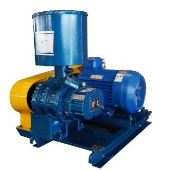 Colore di vernice personalizzato Soffiatore di radici di ventilatore centrifugo per l'acquacoltura e il trattamento delle acque reflue